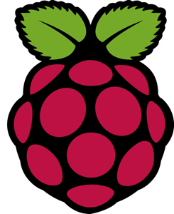 raspberry-pi-logo-8240ABBDFE-seeklogo.com